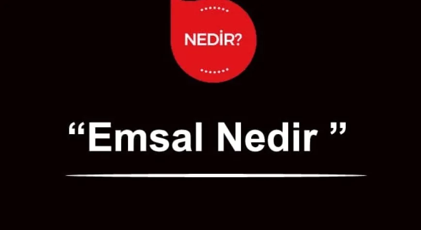 Haber Resmi