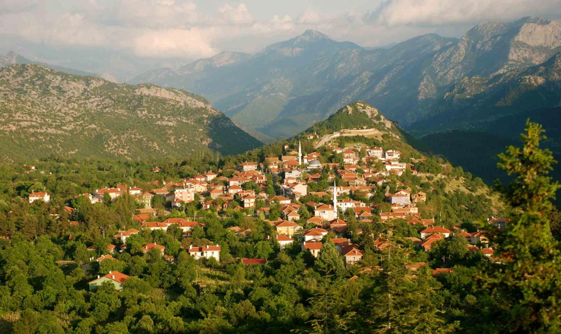 Benzer Haber