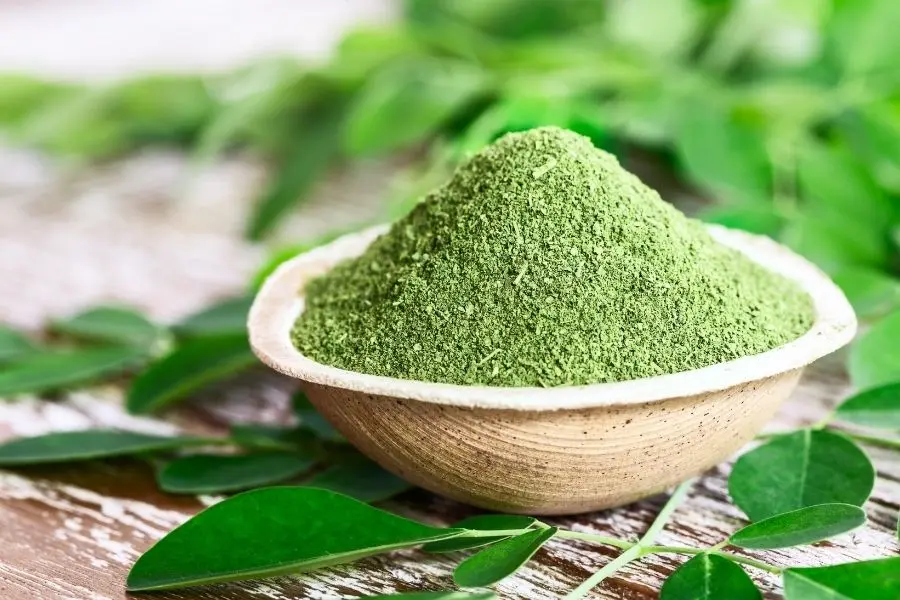 Moringa bitkisi ve çayı faydaları